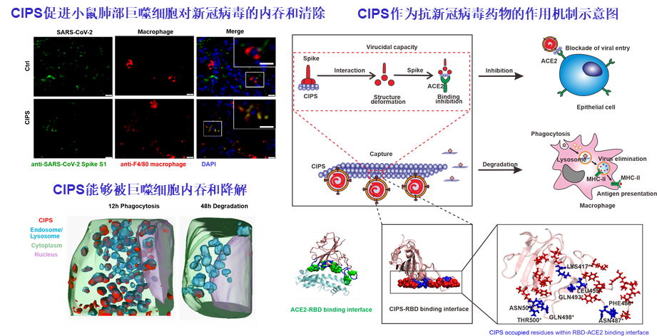 电子游戏app下载安装