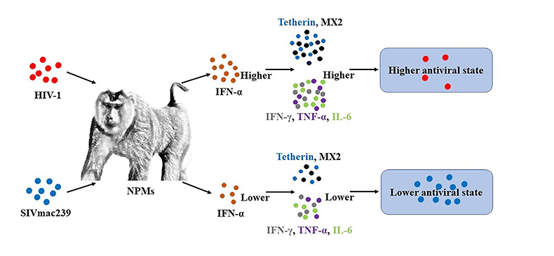 电子游戏app下载安装