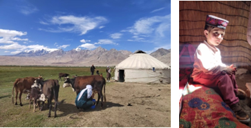 电子游戏app下载安装