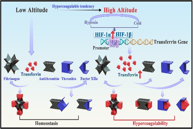 电子游戏app下载安装