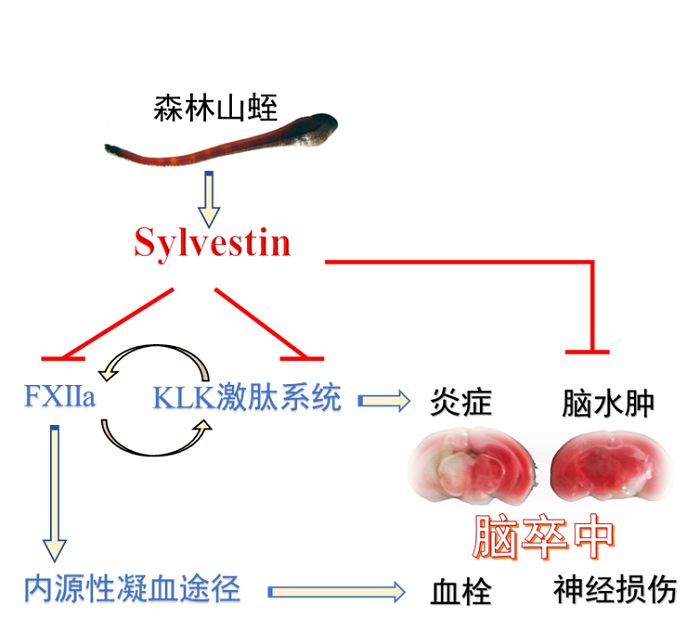 电子游戏app下载安装
