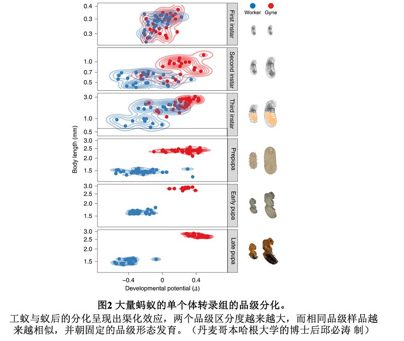 电子游戏app下载安装