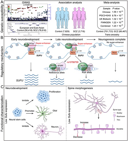 电子游戏app下载安装
