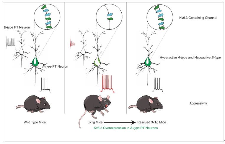 电子游戏app下载安装