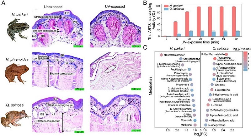 电子游戏app下载安装