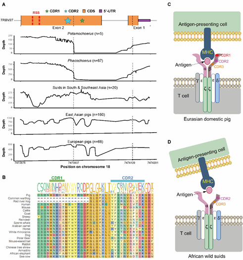 电子游戏app下载安装