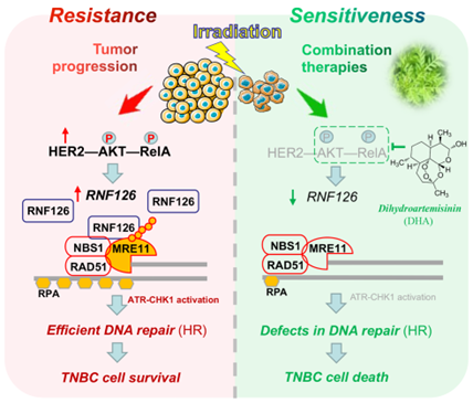 电子游戏app下载安装