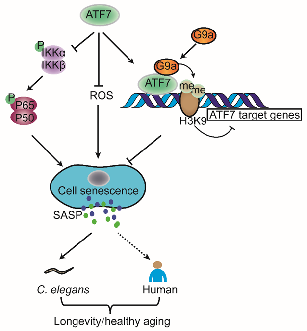 电子游戏app下载安装