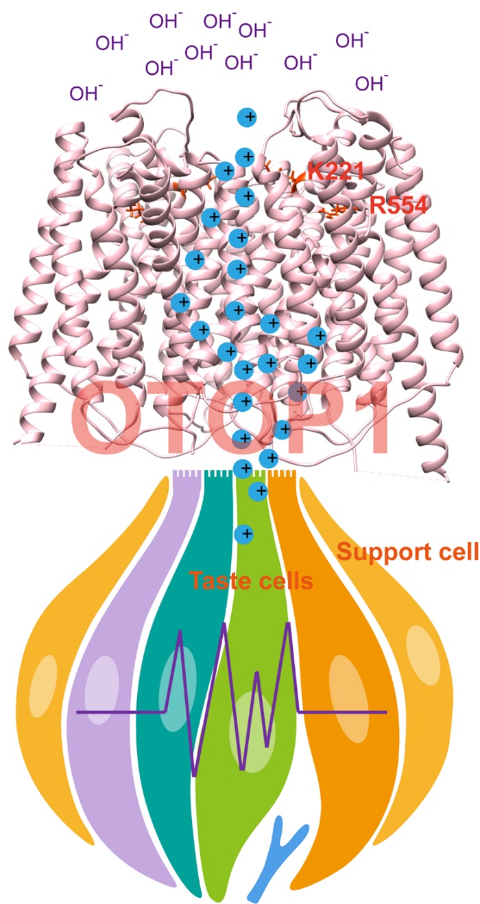 电子游戏app下载安装