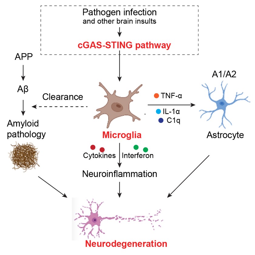 电子游戏app下载安装