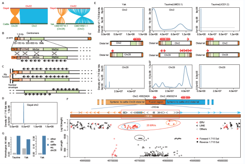 电子游戏app下载安装