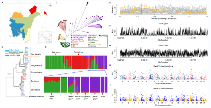 电子游戏app下载安装