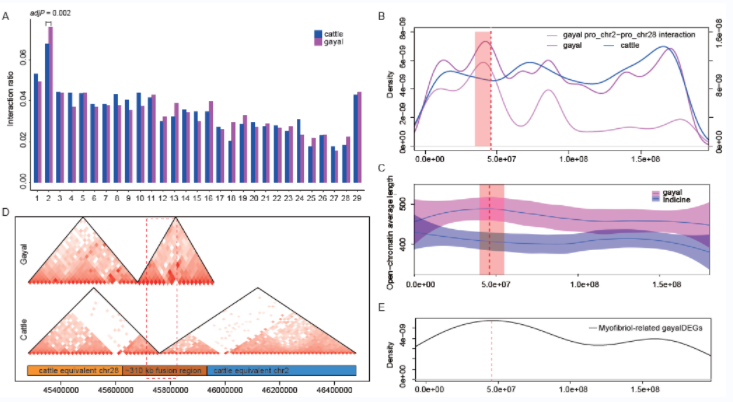 电子游戏app下载安装