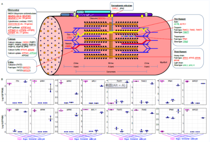 电子游戏app下载安装