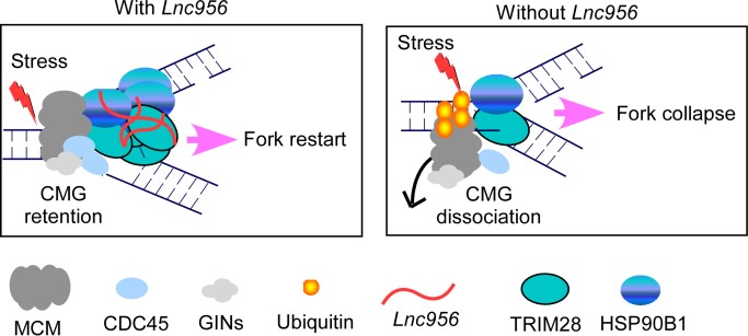 电子游戏app下载安装