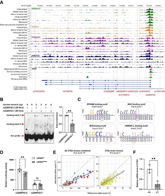 电子游戏app下载安装