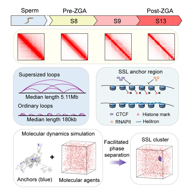 电子游戏app下载安装