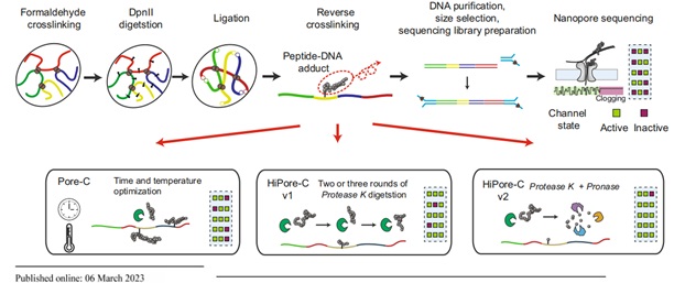 电子游戏app下载安装