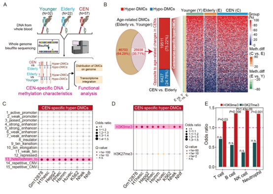 电子游戏app下载安装
