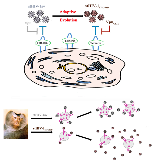 电子游戏app下载安装