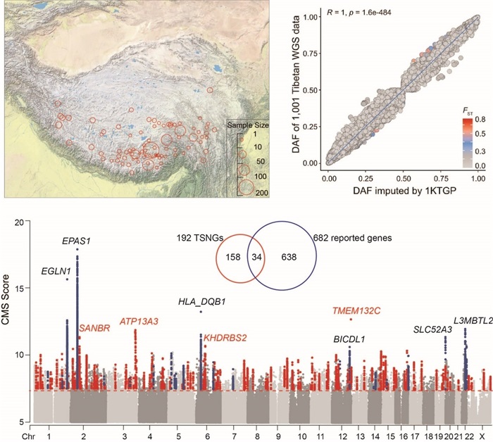 电子游戏app下载安装
