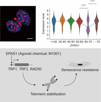 电子游戏app下载安装