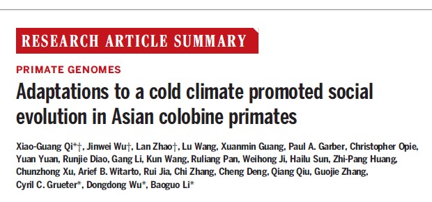 电子游戏app下载安装