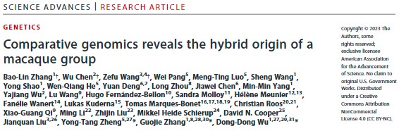 电子游戏app下载安装