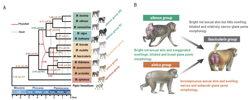 电子游戏app下载安装