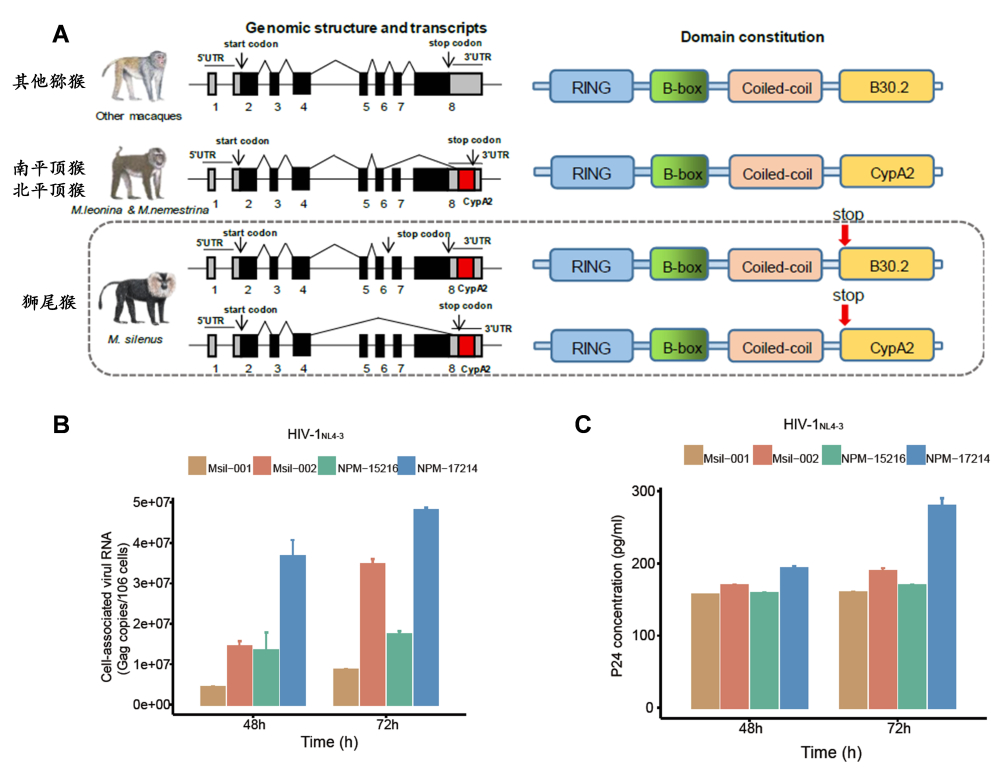 电子游戏app下载安装