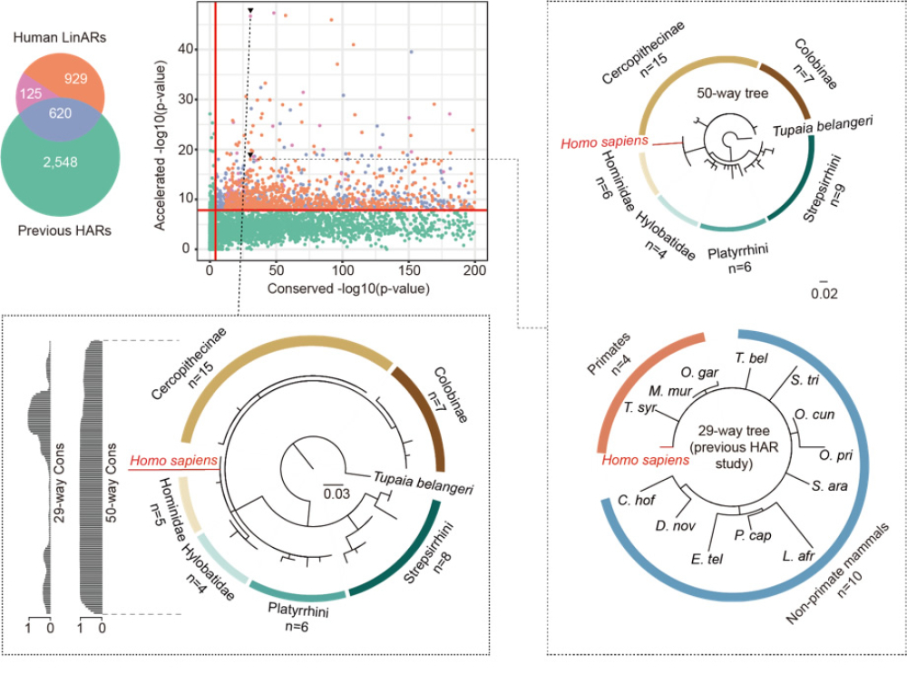 电子游戏app下载安装