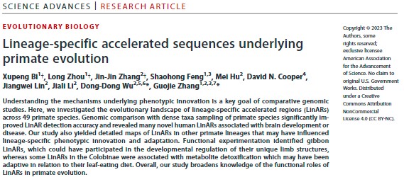 电子游戏app下载安装
