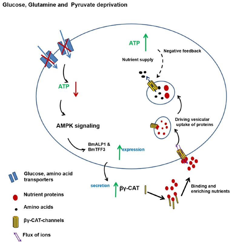 电子游戏app下载安装