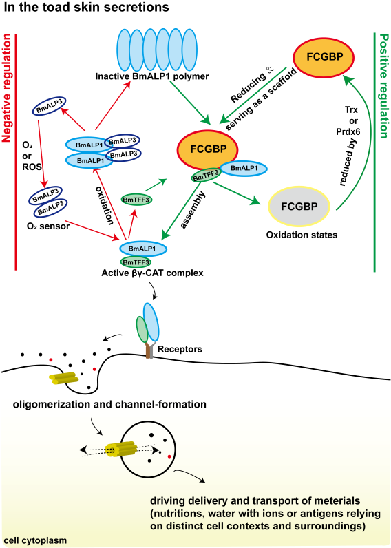 电子游戏app下载安装
