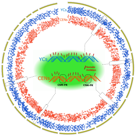 电子游戏app下载安装