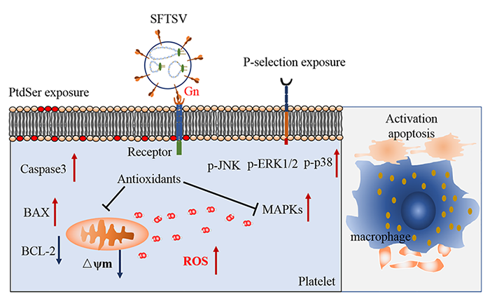 电子游戏app下载安装