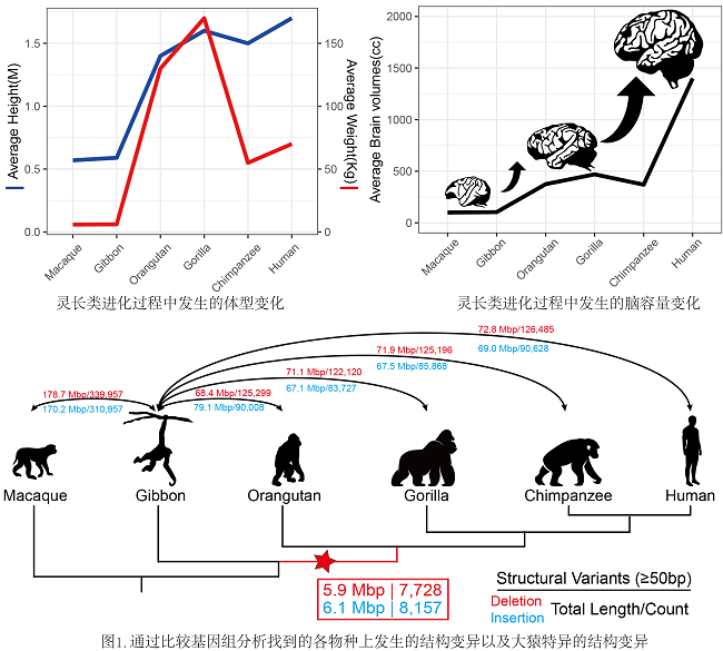 电子游戏app下载安装