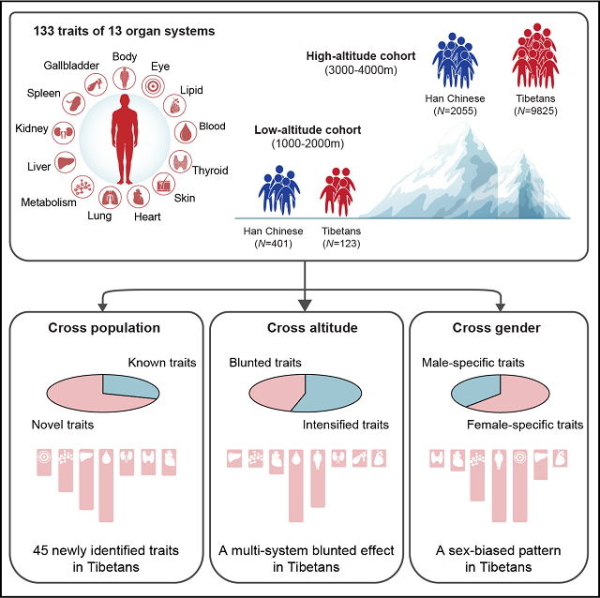 电子游戏app下载安装