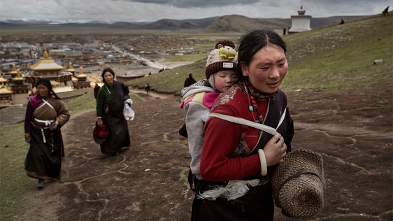 电子游戏app下载安装