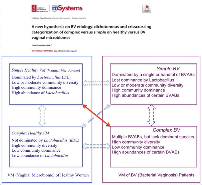 电子游戏app下载安装