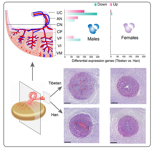 电子游戏app下载安装