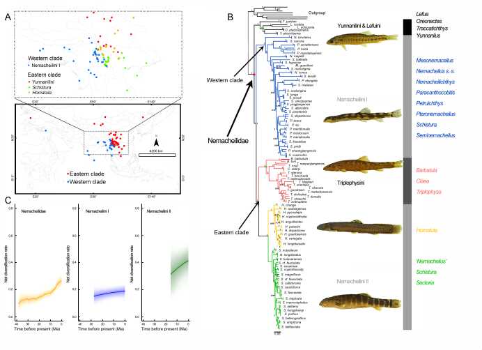 电子游戏app下载安装