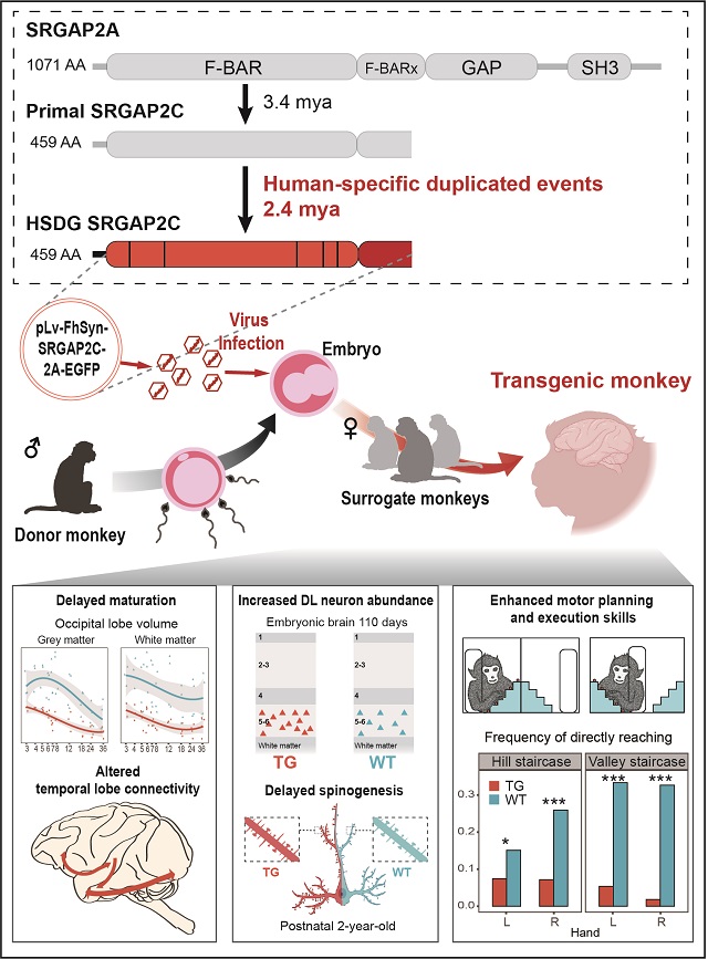 电子游戏app下载安装