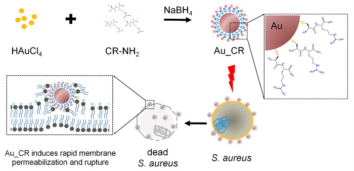 电子游戏app下载安装