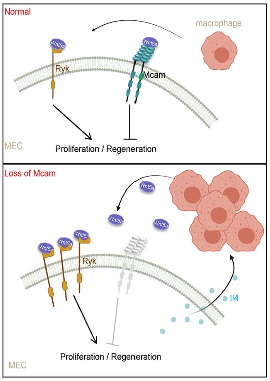 电子游戏app下载安装