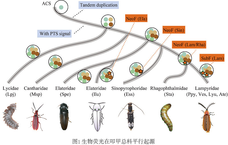 电子游戏app下载安装
