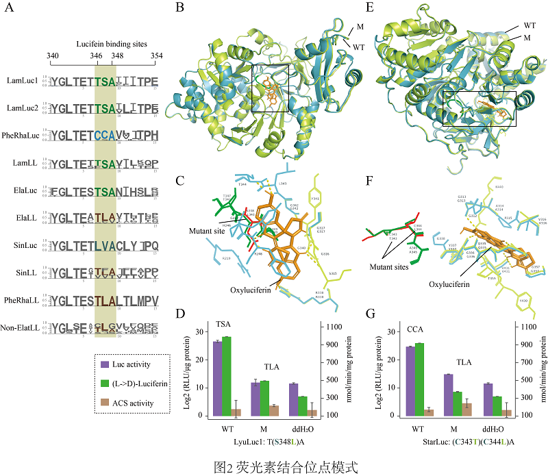 电子游戏app下载安装