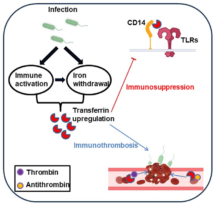 电子游戏app下载安装