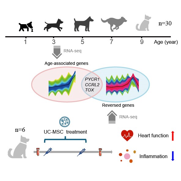 电子游戏app下载安装