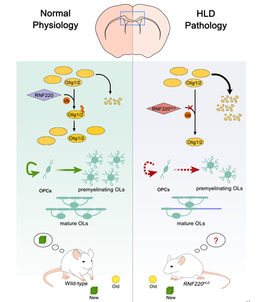 电子游戏app下载安装